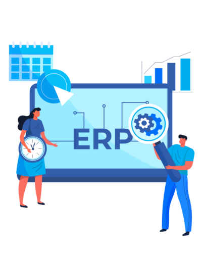 ERP Development